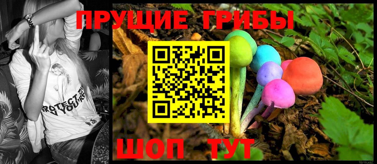 Галлюциногенные грибы Psilocybe Новошахтинск