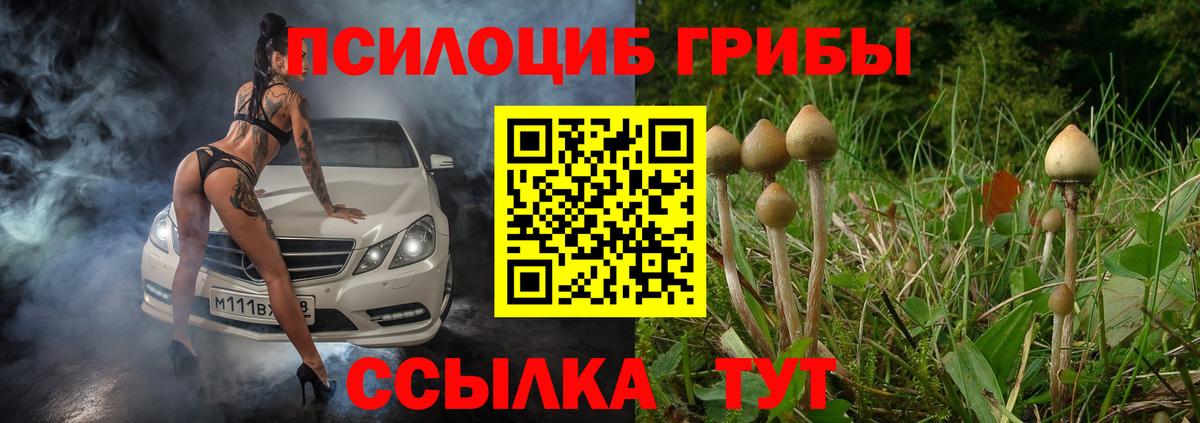 Новошахтинск  закладка  Галлюциногенные грибы GOLDEN TEACHER  Вход с VPN  Галлюциногенные грибы Psilocybe 